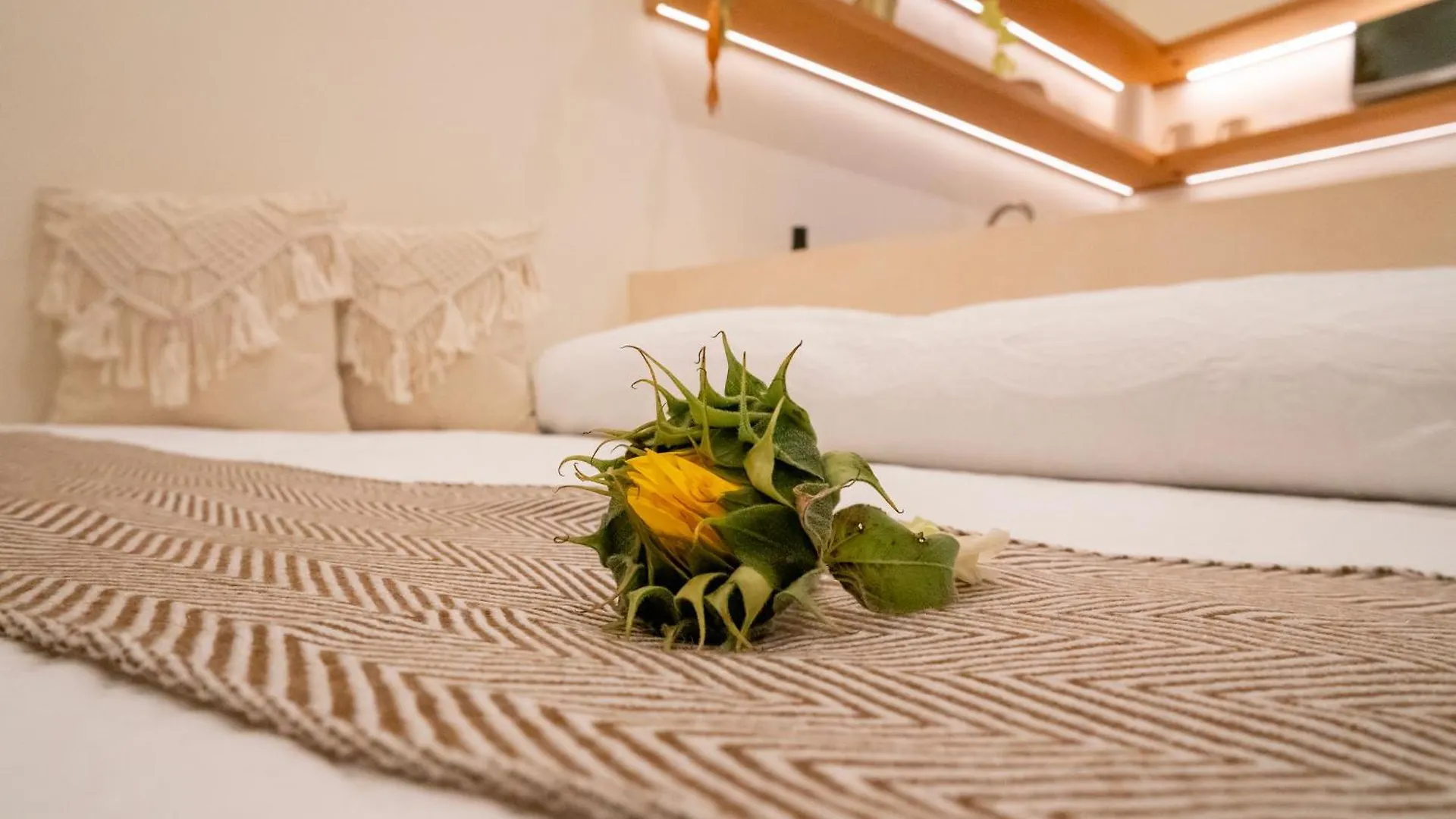 Florita39 Hotel Isla Mujeres