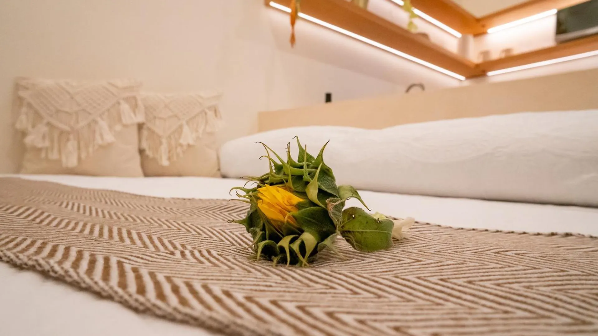 Florita39 Hotel Isla Mujeres